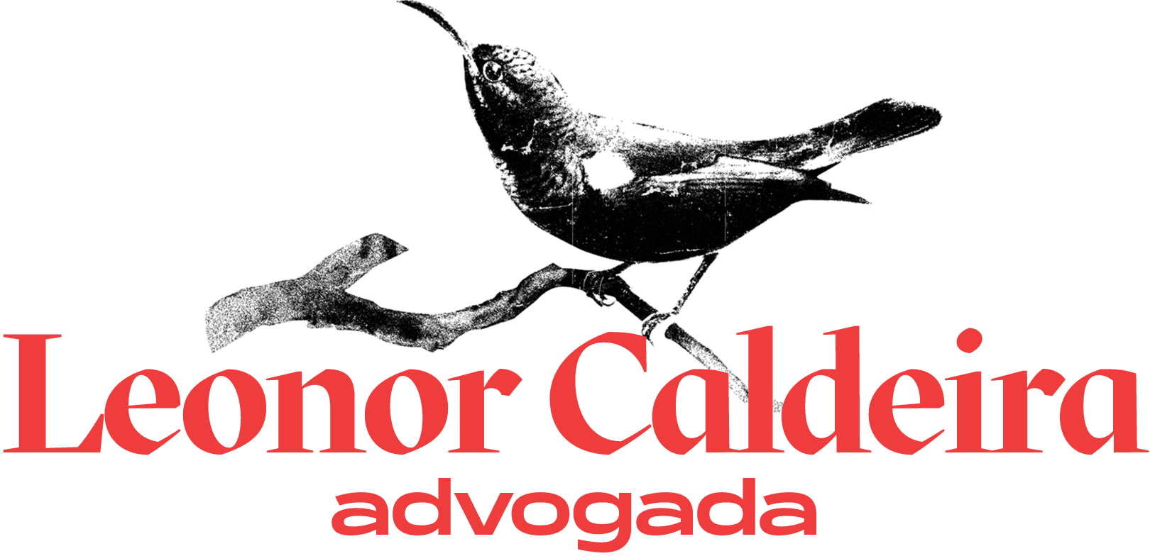 Logotipo da Leonor Caldeira. Para além de dizer Leonor Caldeira, tem um sun bird pousado num ramo, símbolo da resistência palestiniana. 